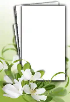 Fotoeffekt aus der Kategorie Fotorahmen für Frauen № 163548
