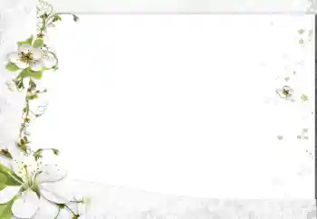 Fotoeffekt aus der Kategorie Fotorahmen für Frauen № 163602