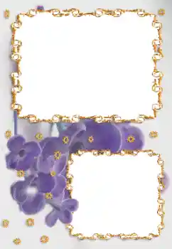 Fotoeffekt aus der Kategorie Fotorahmen für Frauen № 164696