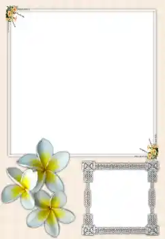 Fotoeffekt aus der Kategorie Fotorahmen für Frauen № 164699