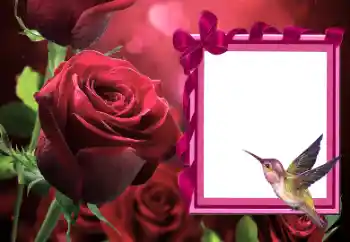 Fotoeffekt aus der Kategorie Fotorahmen für Frauen № 166111