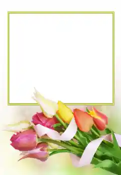 Fotoeffekt aus der Kategorie Fotorahmen für Frauen № 166153 Fotoeffekt aus der Kategorie Fotorahmen für Frauen № 166153