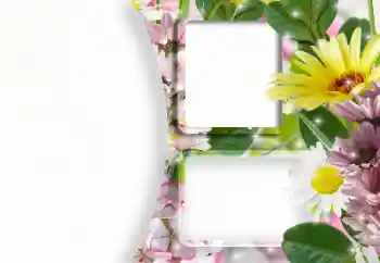 Fotoeffekt aus der Kategorie Fotorahmen für Frauen № 166607