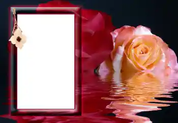 Fotoeffekt aus der Kategorie Fotorahmen für Frauen № 166641