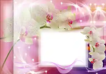 Fotoeffekt aus der Kategorie Fotorahmen für Frauen № 167835