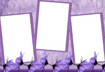 Fotoeffekt aus der Kategorie Fotorahmen für Frauen № 167964