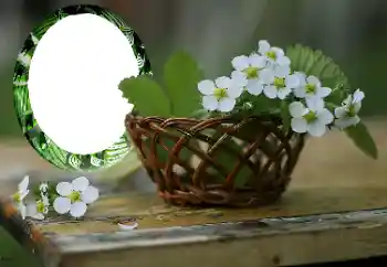 Fotoeffekt aus der Kategorie Fotorahmen für Frauen № 167999