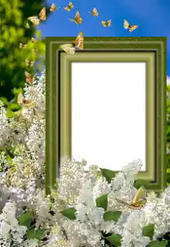 Fotoeffekt aus der Kategorie Fotorahmen für Frauen № 169023
