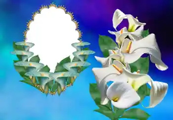Fotoeffekt aus der Kategorie Fotorahmen für Frauen № 169156