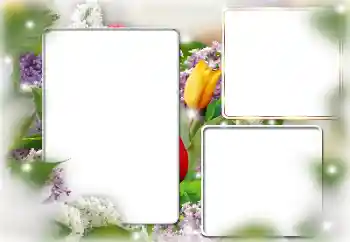 Fotoeffekt aus der Kategorie Fotorahmen für Frauen № 169224