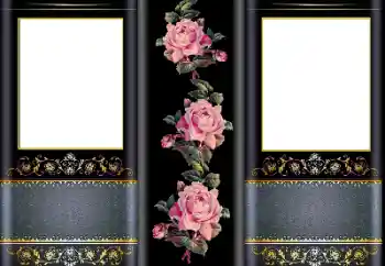 Fotoeffekt aus der Kategorie Fotorahmen für Frauen № 169323