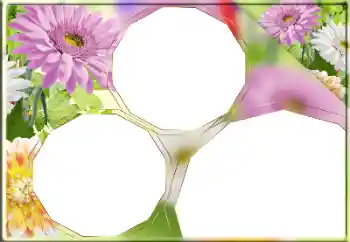 Fotoeffekt aus der Kategorie Fotorahmen für Frauen № 170418