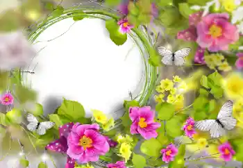 Fotoeffekt aus der Kategorie Fotorahmen für Frauen № 170446
