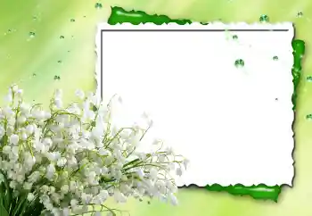 Fotoeffekt aus der Kategorie Fotorahmen für Frauen № 170480