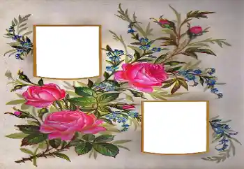 Fotoeffekt aus der Kategorie Fotorahmen für Frauen № 171684 Fotoeffekt aus der Kategorie Fotorahmen für Frauen № 171684
