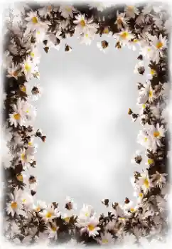 Fotoeffekt aus der Kategorie Fotorahmen für Frauen № 172819 Fotoeffekt aus der Kategorie Fotorahmen für Frauen № 172819