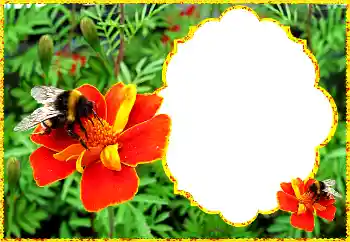 Fotoeffekt aus der Kategorie Fotorahmen für Frauen № 172931 Fotoeffekt aus der Kategorie Fotorahmen für Frauen № 172931