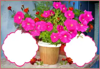 Fotoeffekt aus der Kategorie Fotorahmen für Frauen № 172978 Fotoeffekt aus der Kategorie Fotorahmen für Frauen № 172978