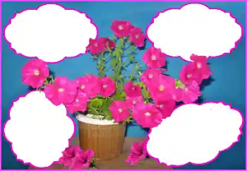 Fotoeffekt aus der Kategorie Fotorahmen für Frauen № 172980 Fotoeffekt aus der Kategorie Fotorahmen für Frauen № 172980