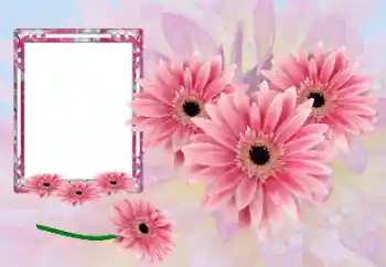 Fotoeffekt aus der Kategorie Fotorahmen für Frauen № 173021
