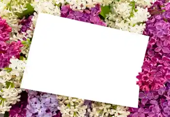 Fotoeffekt aus der Kategorie Fotorahmen für Frauen № 175408