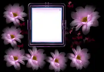 Fotoeffekt aus der Kategorie Fotorahmen für Frauen № 175502