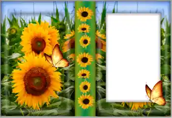 Fotoeffekt aus der Kategorie Fotorahmen für Frauen № 175542