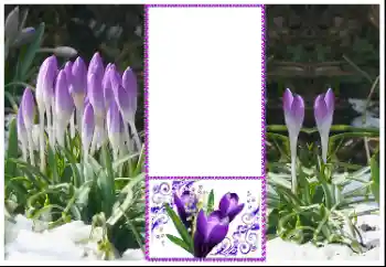 Fotoeffekt aus der Kategorie Fotorahmen für Frauen № 179360 Fotoeffekt aus der Kategorie Fotorahmen für Frauen № 179360