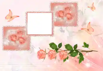 Fotoeffekt aus der Kategorie Fotorahmen für Frauen № 180707