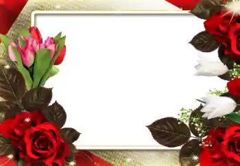 Fotoeffekt aus der Kategorie Fotorahmen für Frauen № 180712