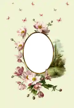 Fotoeffekt aus der Kategorie Fotorahmen für Frauen № 180747