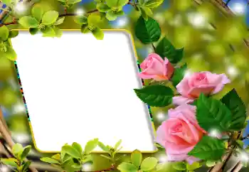 Fotoeffekt aus der Kategorie Fotorahmen für Frauen № 180860 Fotoeffekt aus der Kategorie Fotorahmen für Frauen № 180860