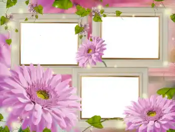 Fotoeffekt aus der Kategorie Fotorahmen für Frauen № 181986