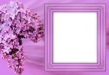 Fotoeffekt aus der Kategorie Fotorahmen für Frauen № 183304 Fotoeffekt aus der Kategorie Fotorahmen für Frauen № 183304
