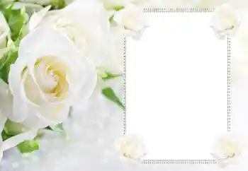 Fotoeffekt aus der Kategorie Fotorahmen für Frauen № 183434 Fotoeffekt aus der Kategorie Fotorahmen für Frauen № 183434