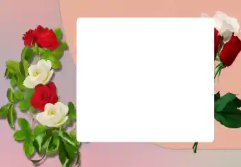 Fotoeffekt aus der Kategorie Fotorahmen für Frauen № 198906