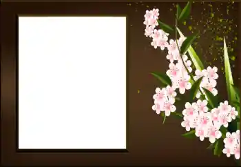 Fotoeffekt aus der Kategorie Fotorahmen für Frauen № 198973 Fotoeffekt aus der Kategorie Fotorahmen für Frauen № 198973