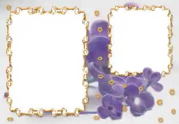 Fotoeffekt aus der Kategorie Fotorahmen für Frauen № 203262 Fotoeffekt aus der Kategorie Fotorahmen für Frauen № 203262