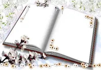 Fotoeffekt aus der Kategorie Fotorahmen für Frauen № 203311