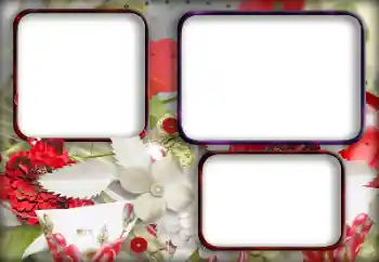 Fotoeffekt aus der Kategorie Fotorahmen für Frauen № 203315