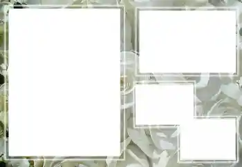 Fotoeffekt aus der Kategorie Fotorahmen für Frauen № 205789