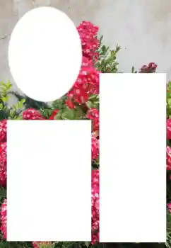 Fotoeffekt aus der Kategorie Fotorahmen für Frauen № 205800