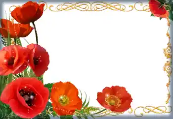 Fotoeffekt aus der Kategorie Fotorahmen für Frauen № 205838