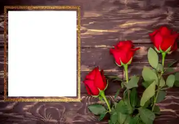 Fotoeffekt aus der Kategorie Fotorahmen für Frauen № 206175