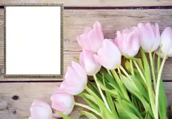 Fotoeffekt aus der Kategorie Fotorahmen für Frauen № 206178 Fotoeffekt aus der Kategorie Fotorahmen für Frauen № 206178