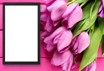 Fotoeffekt aus der Kategorie Fotorahmen für Frauen № 206179 Fotoeffekt aus der Kategorie Fotorahmen für Frauen № 206179