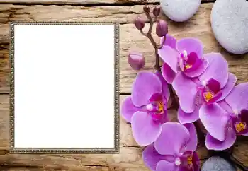 Fotoeffekt aus der Kategorie Fotorahmen für Frauen № 206185