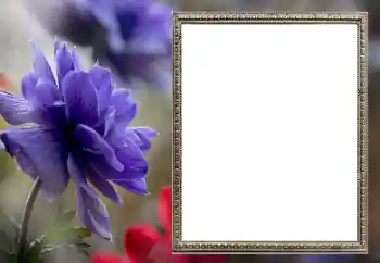 Fotoeffekt aus der Kategorie Fotorahmen für Frauen № 206189