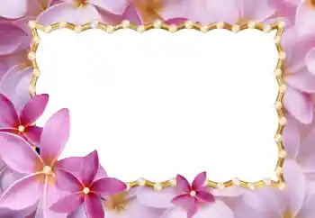 Fotoeffekt aus der Kategorie Fotorahmen für Frauen № 24214 Fotoeffekt aus der Kategorie Fotorahmen für Frauen № 24214