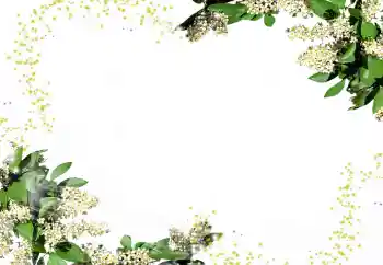 Fotoeffekt aus der Kategorie Fotorahmen für Frauen № 24247 Fotoeffekt aus der Kategorie Fotorahmen für Frauen № 24247